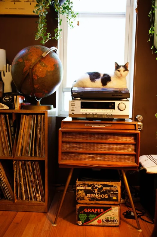 a cat is sitting on top of an old stereo