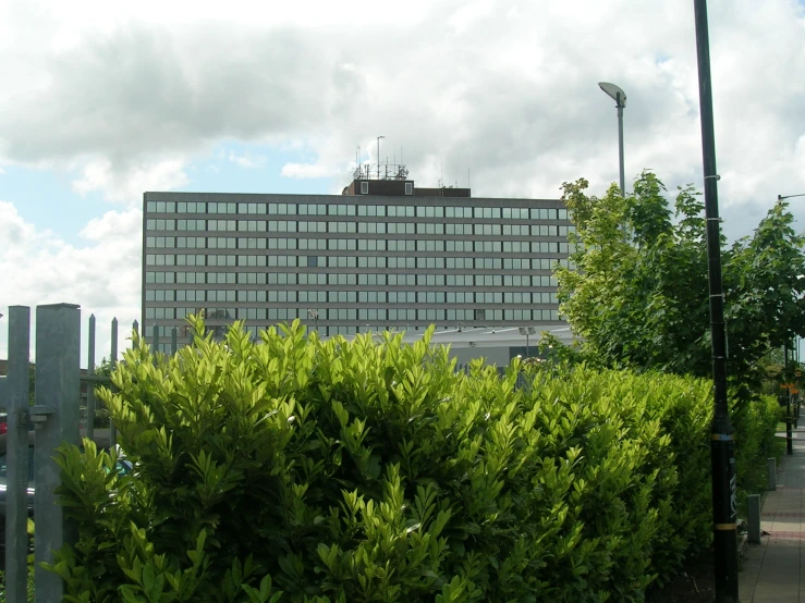 some bushes trees and some buildings in the background