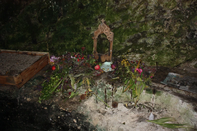 a wooden bench sits beside a garden with plants and flowers