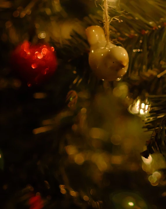 closeup of christmas decorations hanging from a tree