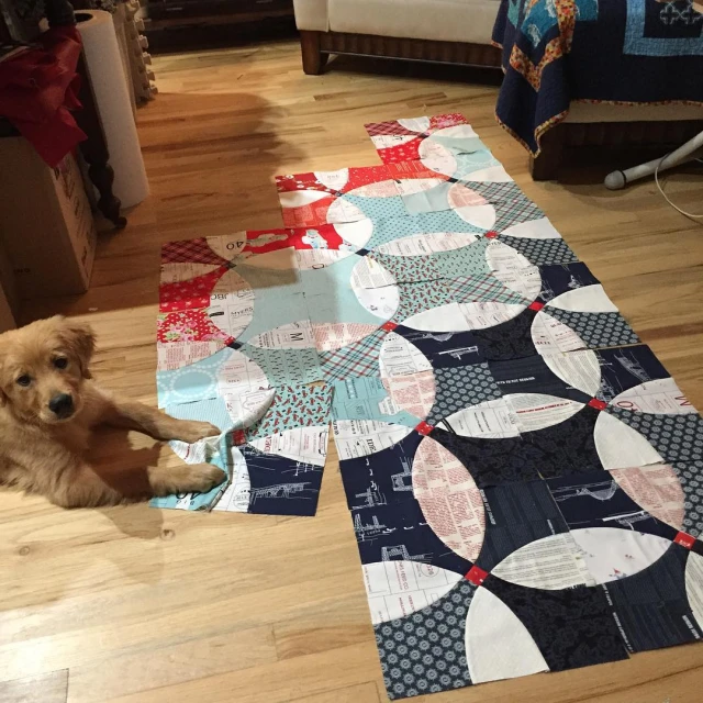 there is a dog laying on the floor and holding a toy