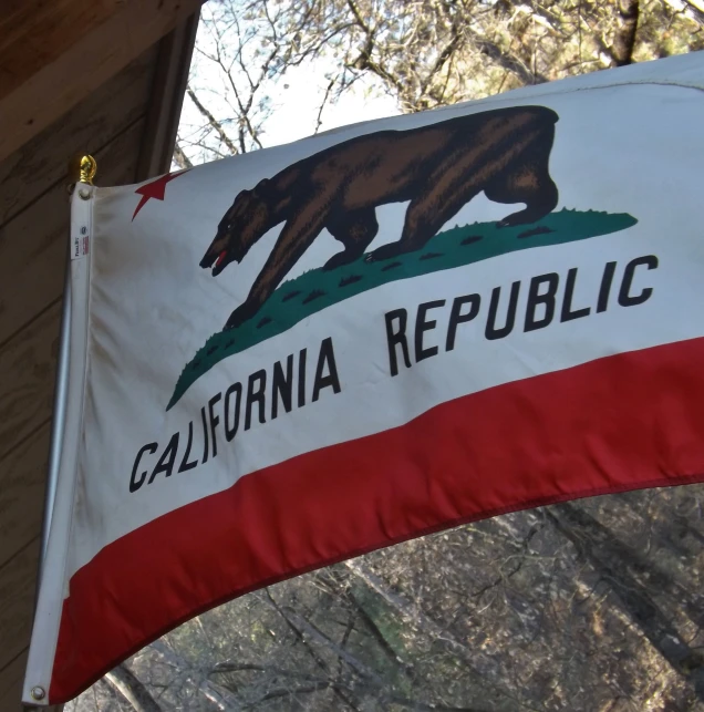 a large flag with the image of the california state seal on it
