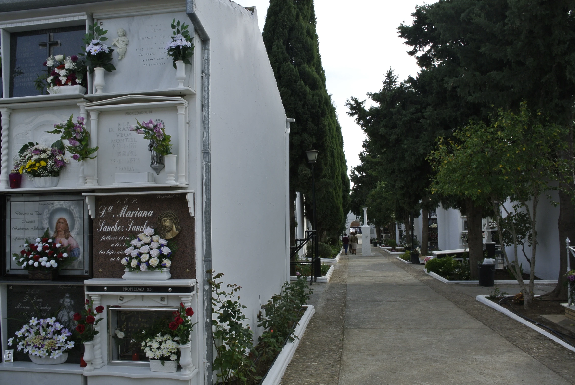 several pictures and flowers on display on the side of a building