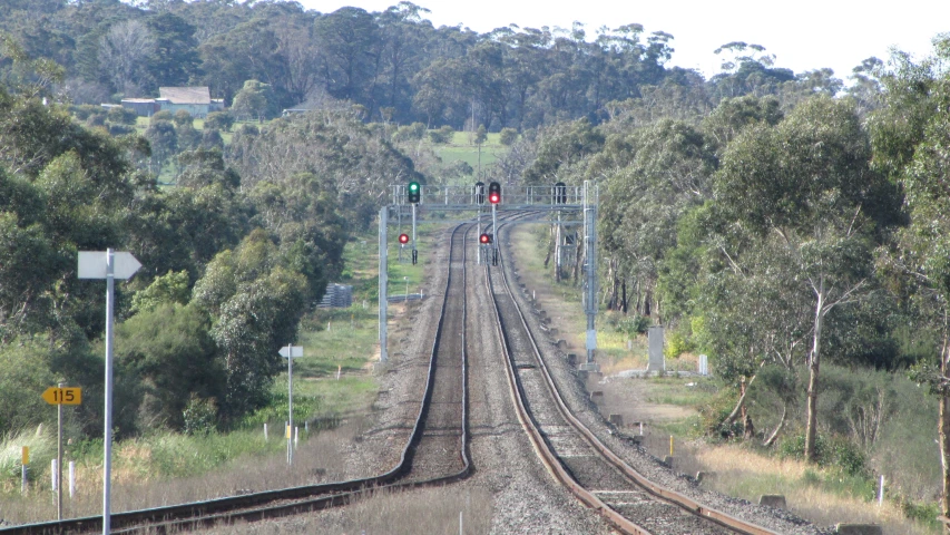 the train tracks are lined with trees along each side