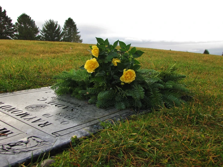 a grave that is in the grass with some flowers growing out of it