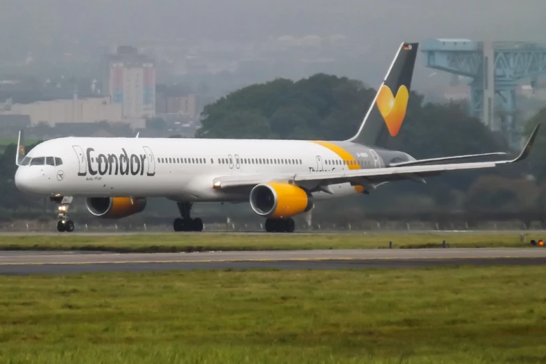 the commercial airplane has painted yellow and grey colors