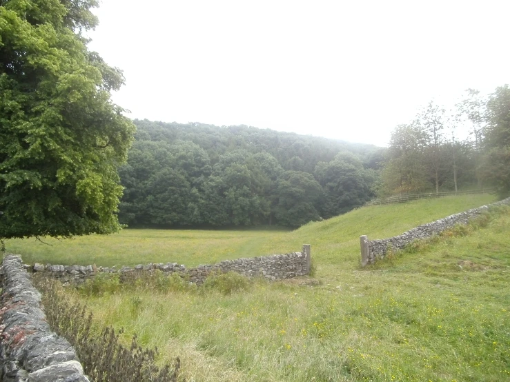 a stone wall dividing a grassy pasture with trees