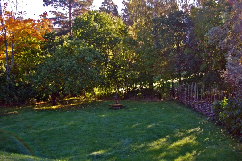 a yard with a green grass lawn next to trees