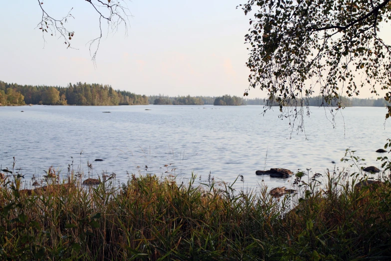 an image of lake in a park setting