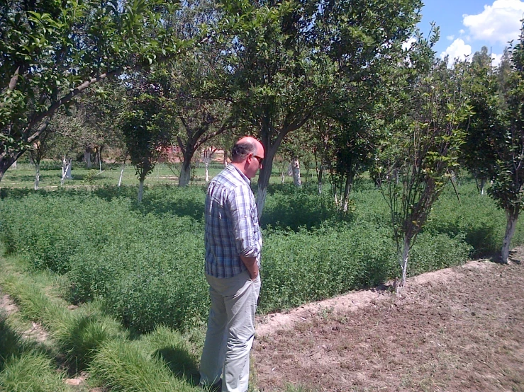 a man standing next to some grass and trees