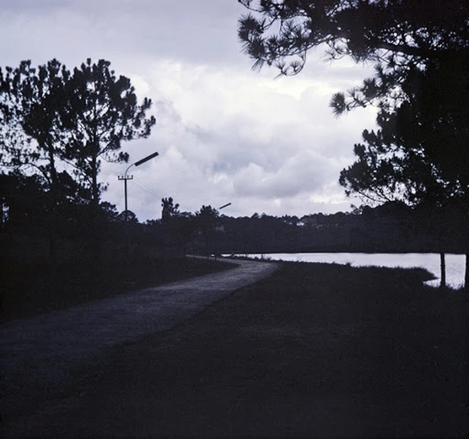 a dark street with trees in the distance