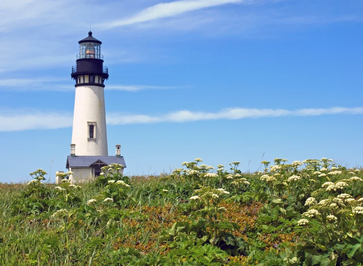 a light house surrounded by plants and flowers