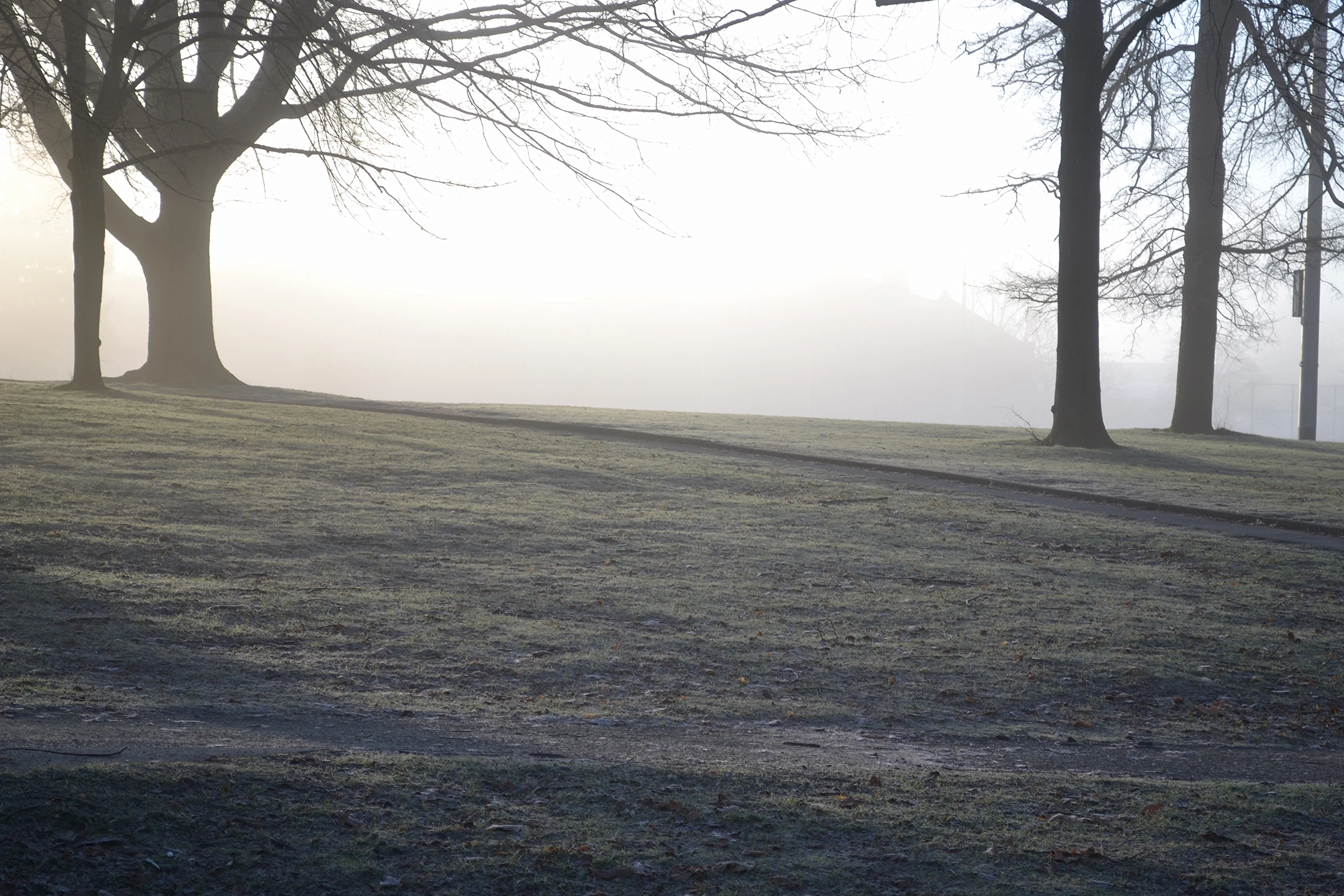 a single park bench in the foggy morning