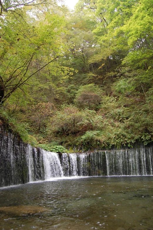 waterfall in park surrounded by greenery and trees