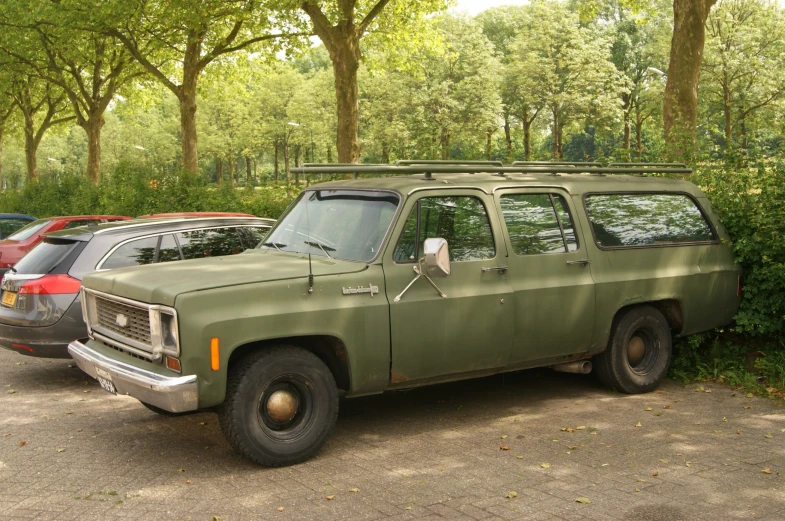 a pick up truck parked in a park on the road