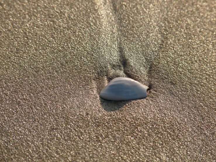 small rock sitting on sandy beach with waves in it