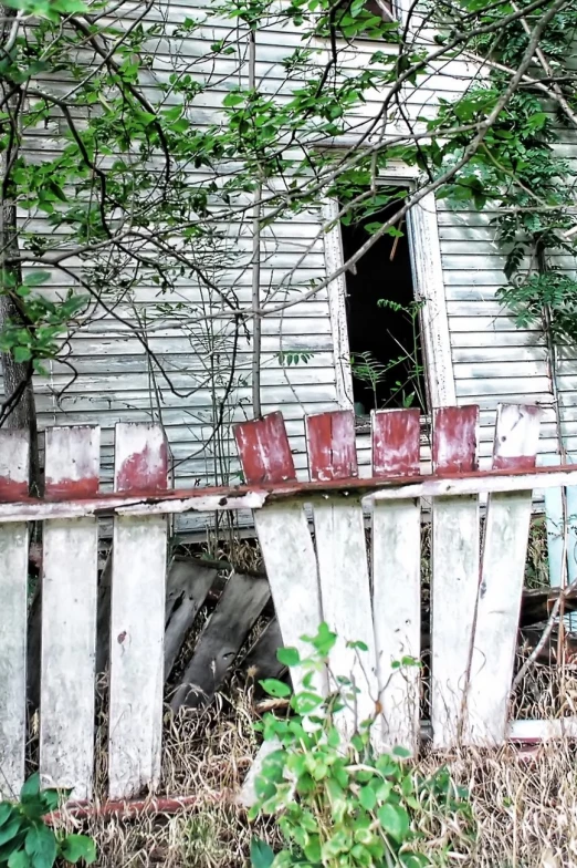 an abandoned run down house in the woods