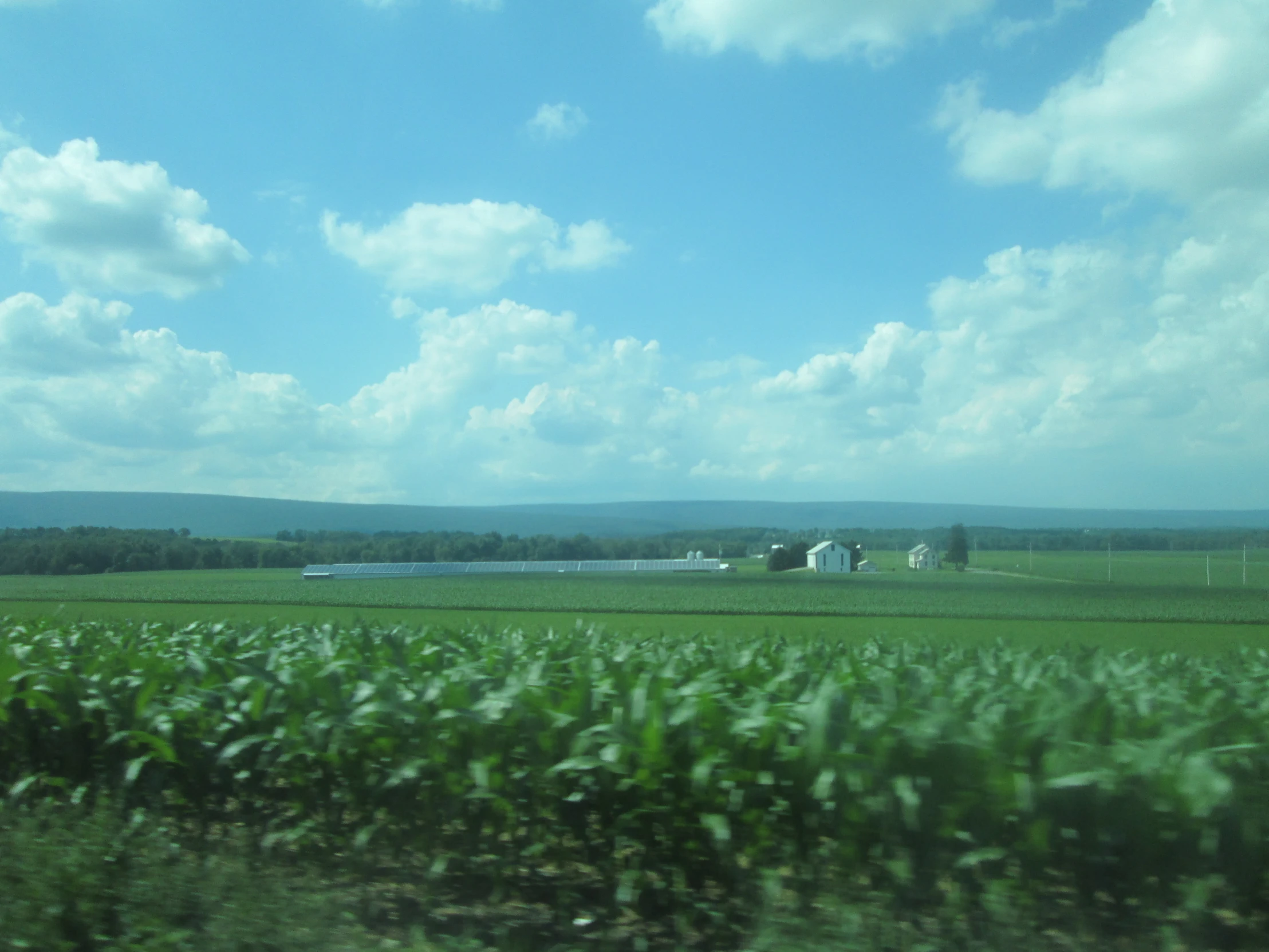 a view from a vehicle driving down a rural road