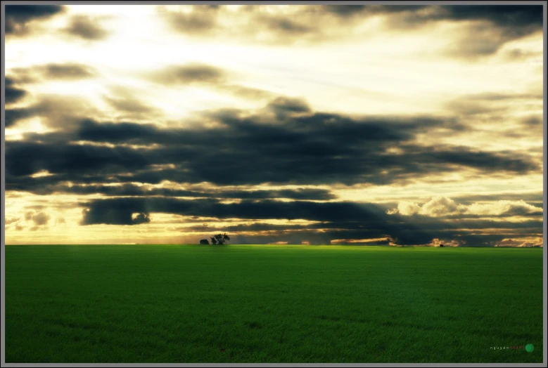 the grass is green and very green under the cloudy sky