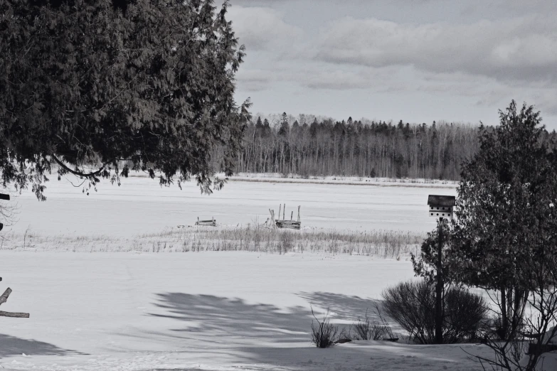 the po is in black and white of a wintery landscape