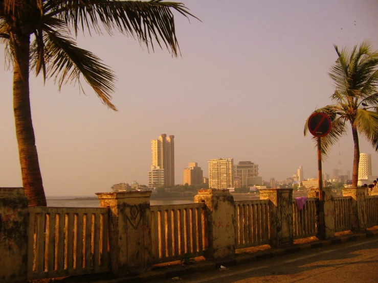 a view of some tall buildings from across the street