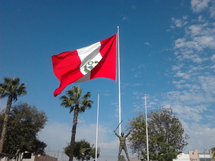 a large mexican flag flying above the trees