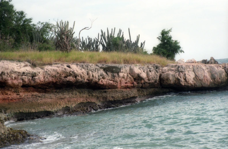 some rocks water grass and plants on the edge