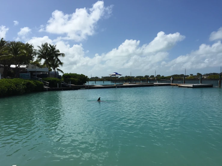 someone paddle boarding in the lake while looking at the view