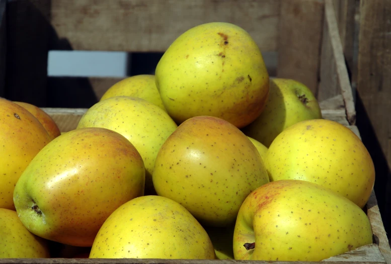 there are some apples that are in a wooden box