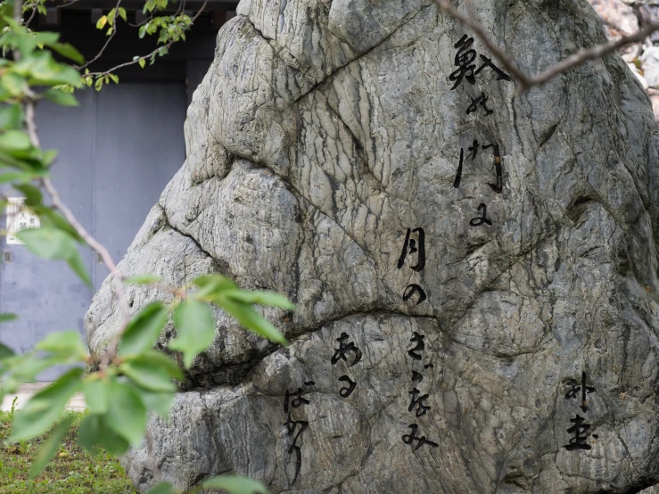 some trees and rocks with writing in a small town