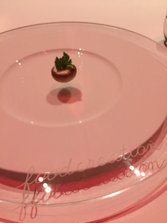 small dish on glass with small plant sitting on top