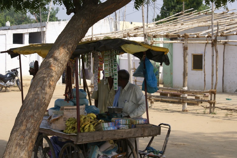 man selling fruit from cart under tree on dirt