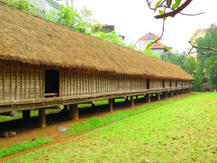 a picture of some houses that are made of bamboo