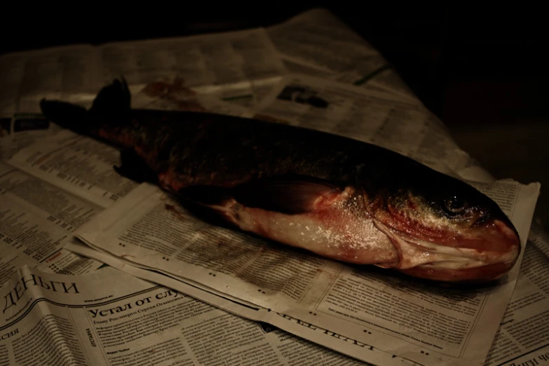 a fish on newspapers is lying on the table