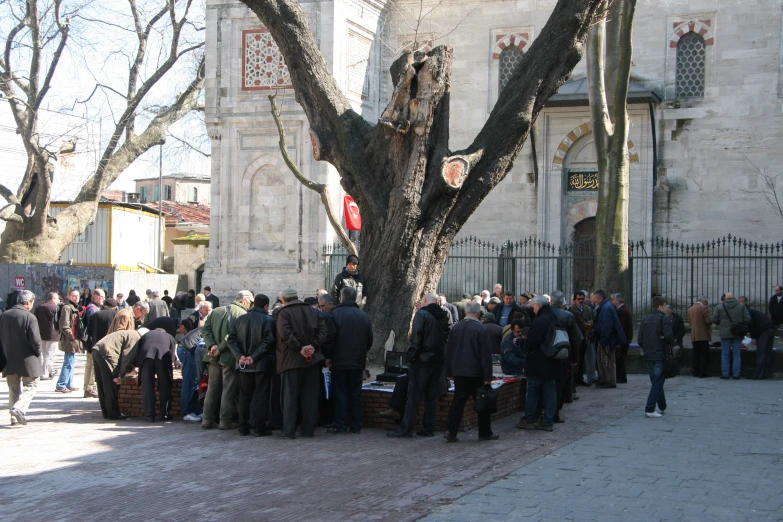 a crowd of people stand in front of a tree