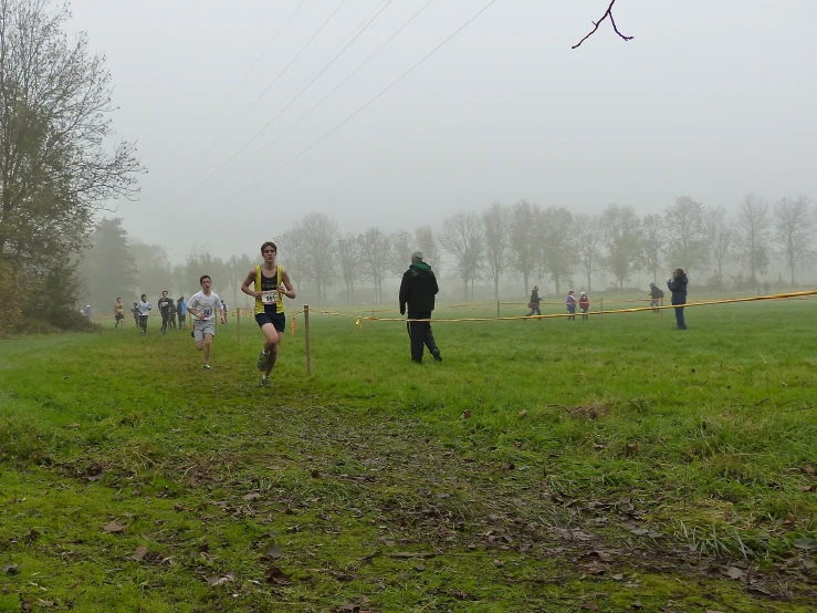 group of people running in foggy park with trees