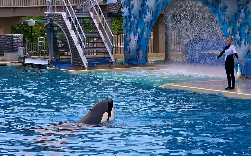 a man stands near a whale with an enclosure on the background