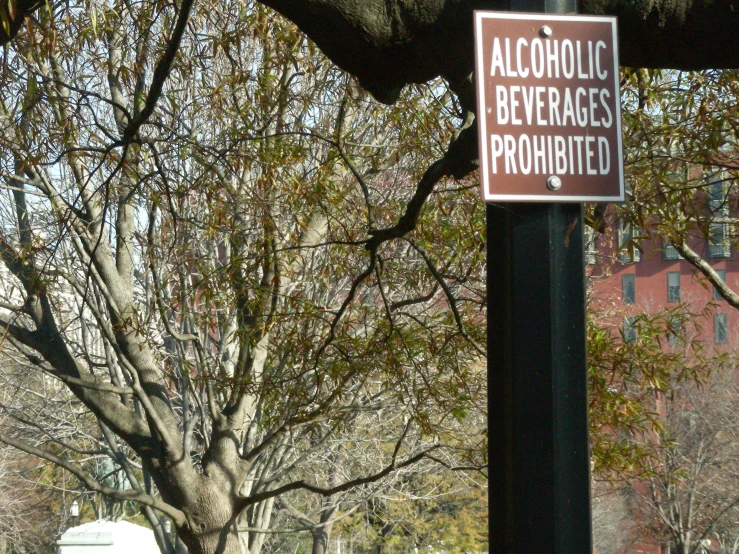 a red sign that is under a tree