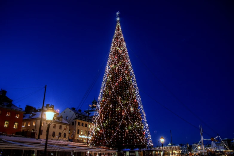 a very large tree sitting outside of a building at night