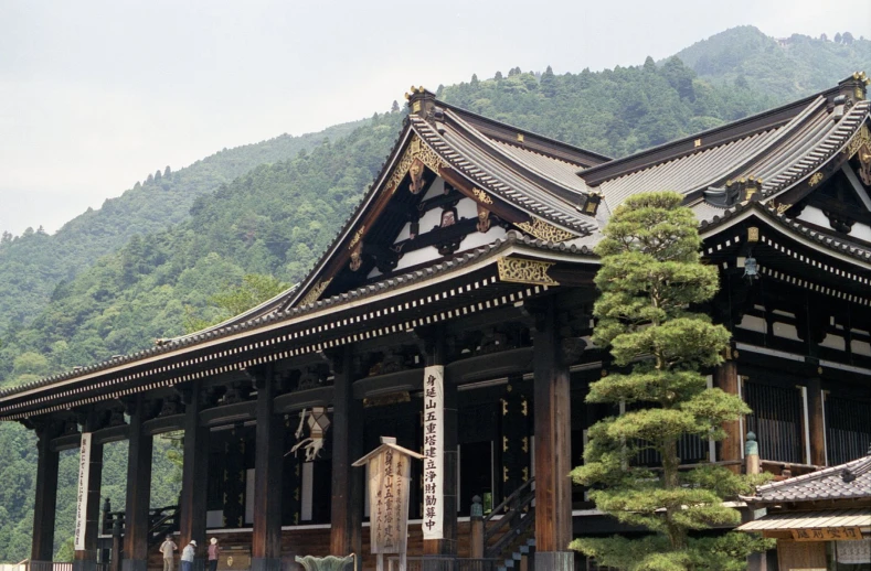 a large japanese style building in front of mountains