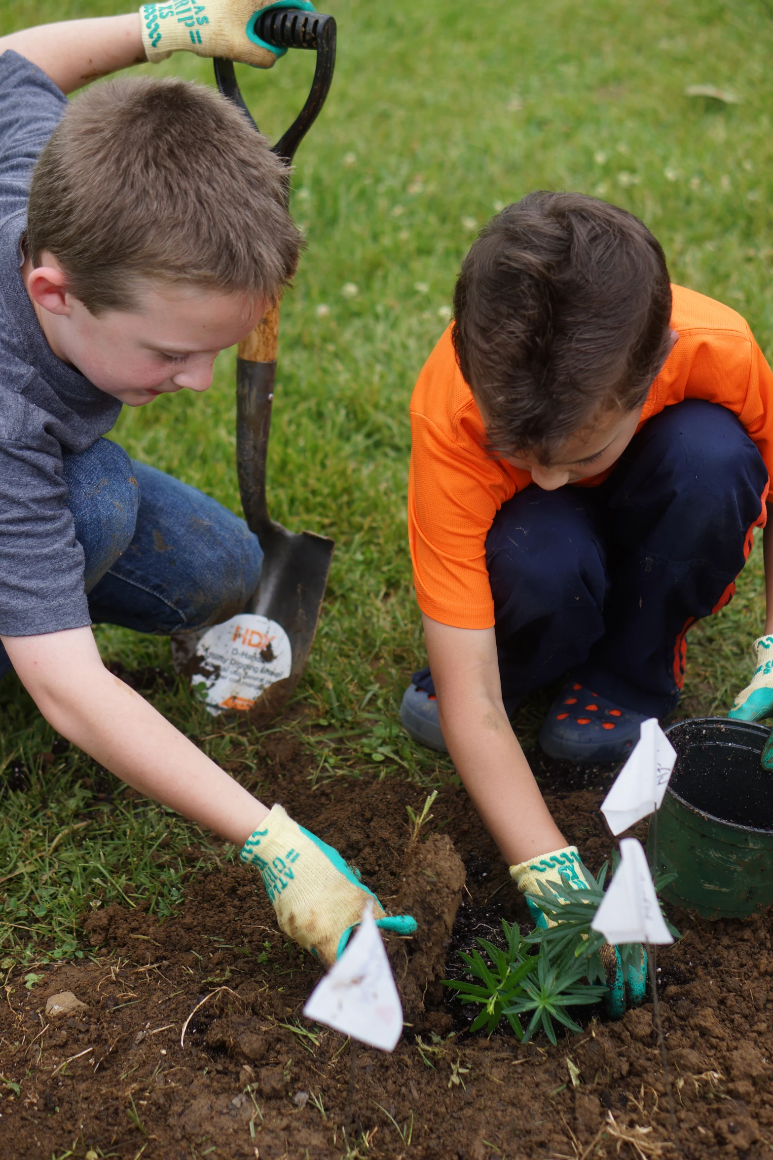 two boys dig into the ground with some trees and shovels