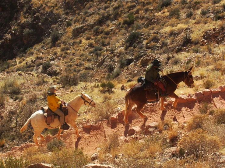 two men riding horses through a desert like area