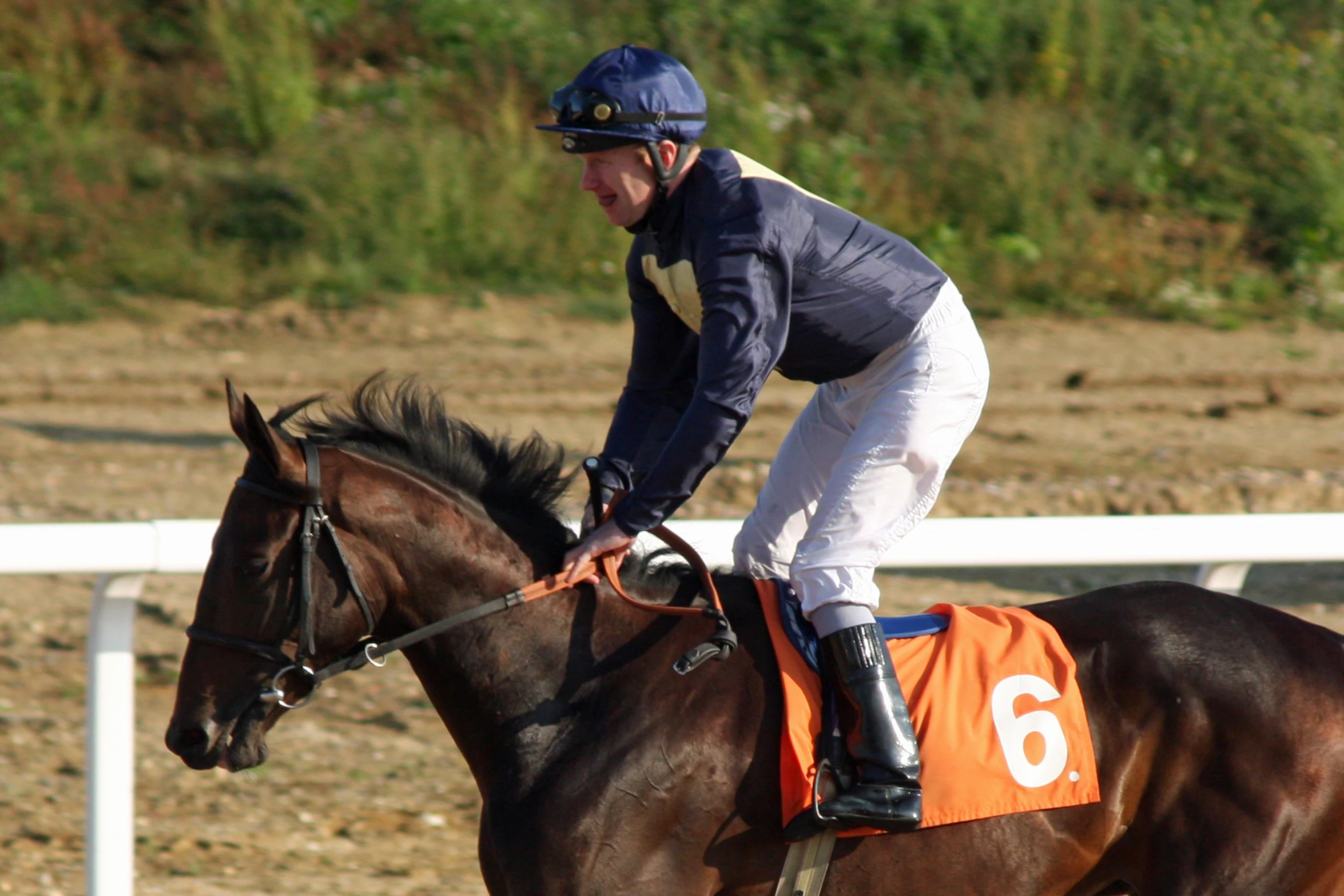 a man riding on the back of a brown horse