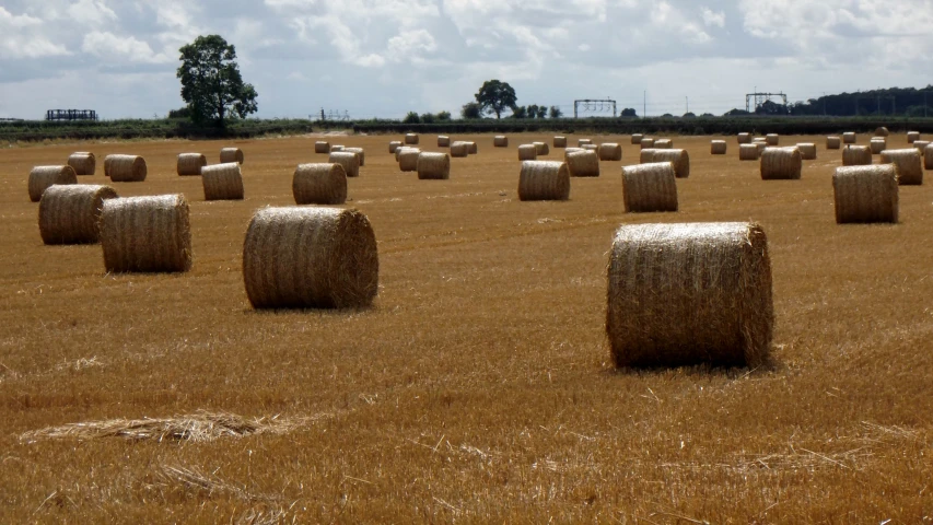 bales of hay are standing in a field under cloudy skies