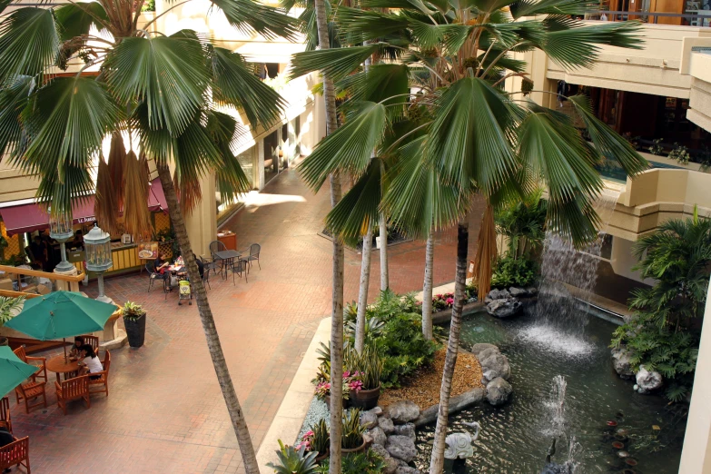 a tropical park with water and palm trees