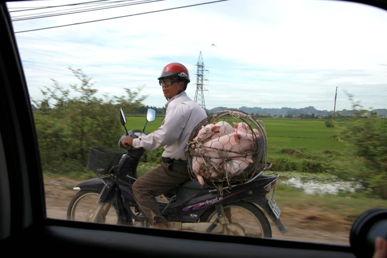 a man riding a motor scooter with large piles of meat