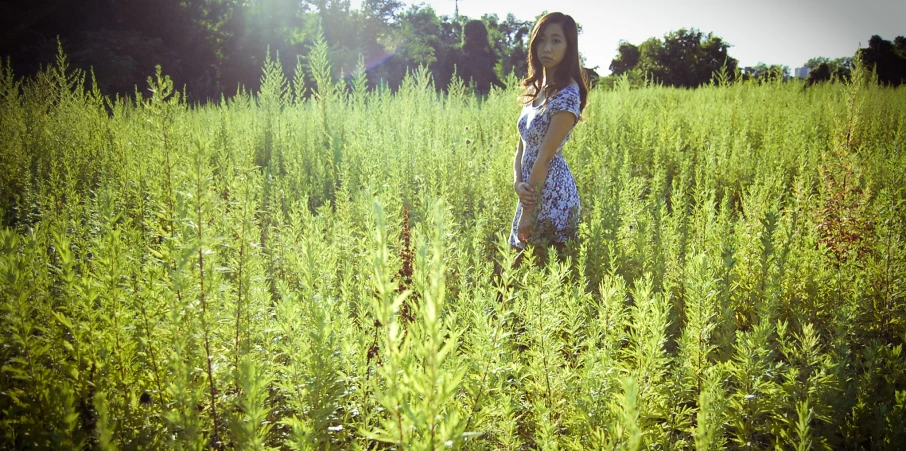 a woman standing in the middle of tall grass