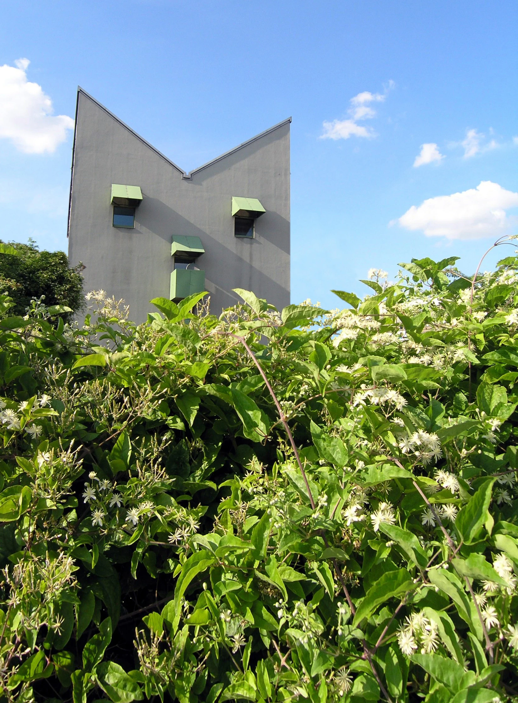 bushes and flowers surrounding a structure on a hill