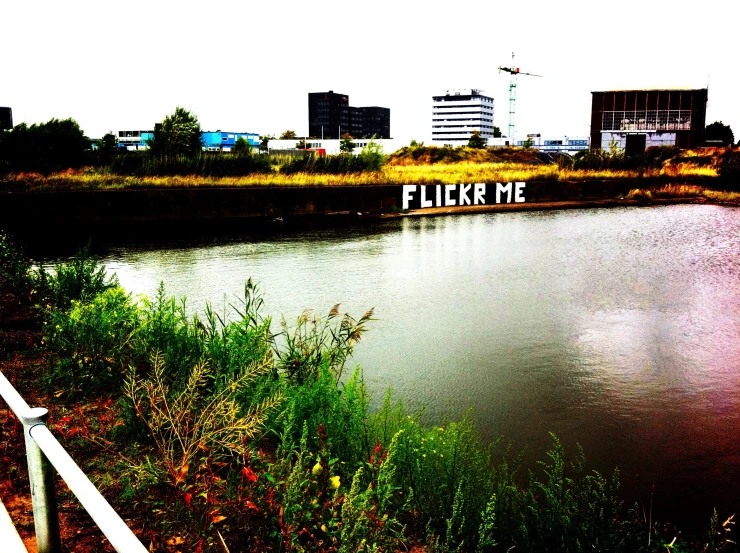 a body of water near an area with a few buildings in the background