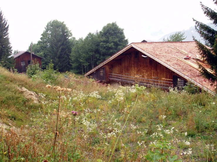 a barn sits in the middle of the grass